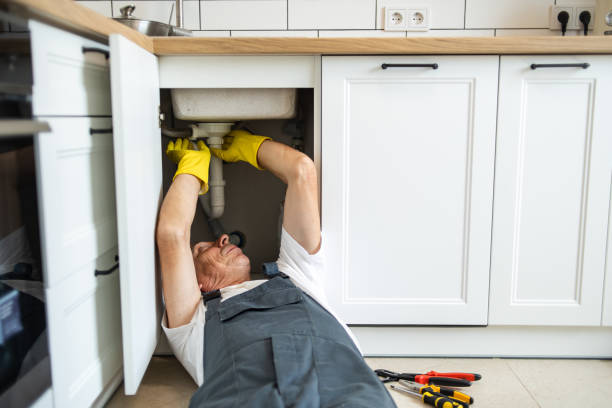 Best Commercial Plumbing Services  in Lealman, FL