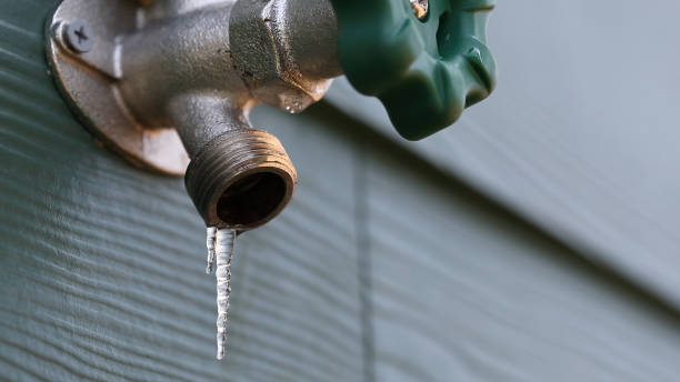 Professional Plumbing in Lealman, FL