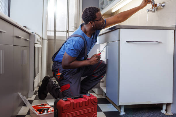 Best Plumbing Services Near Me  in Lealman, FL